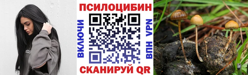 omg ONION  Москва  Псилоцибиновые грибы MAGIC MUSHROOMS 