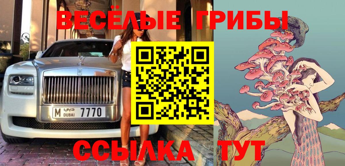 Псилоцибиновые грибы GOLDEN TEACHER Москва